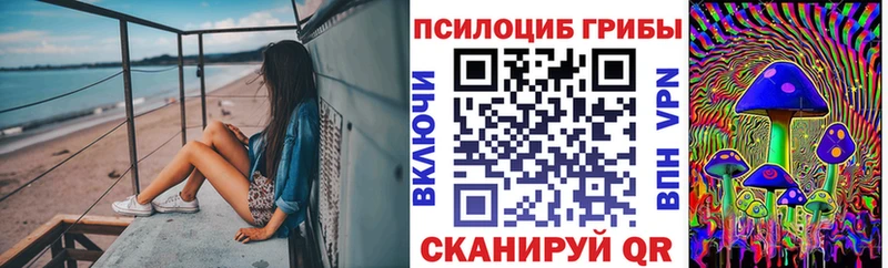 Галлюциногенные грибы Cubensis  блэк спрут ссылка  Сосенский  где продают наркотики 